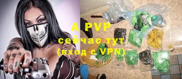 первитин Богданович
