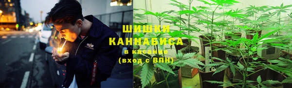 прущий лед Богородск
