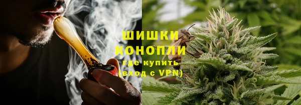 первитин Богданович