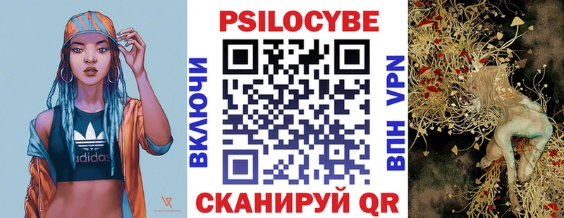 площадка наркотические препараты  Новосокольники  Галлюциногенные грибы Magic Shrooms  наркотики 