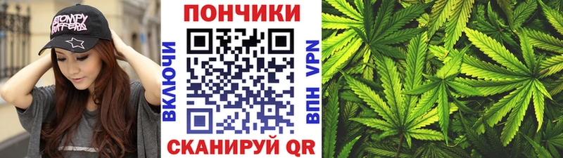 Бошки Шишки марихуана  Новосокольники 